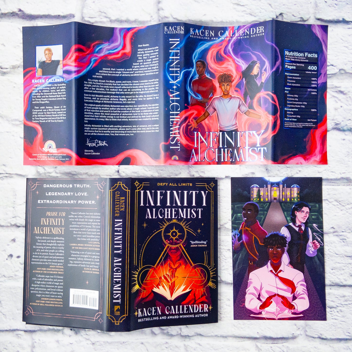 Infinity Alchemist book