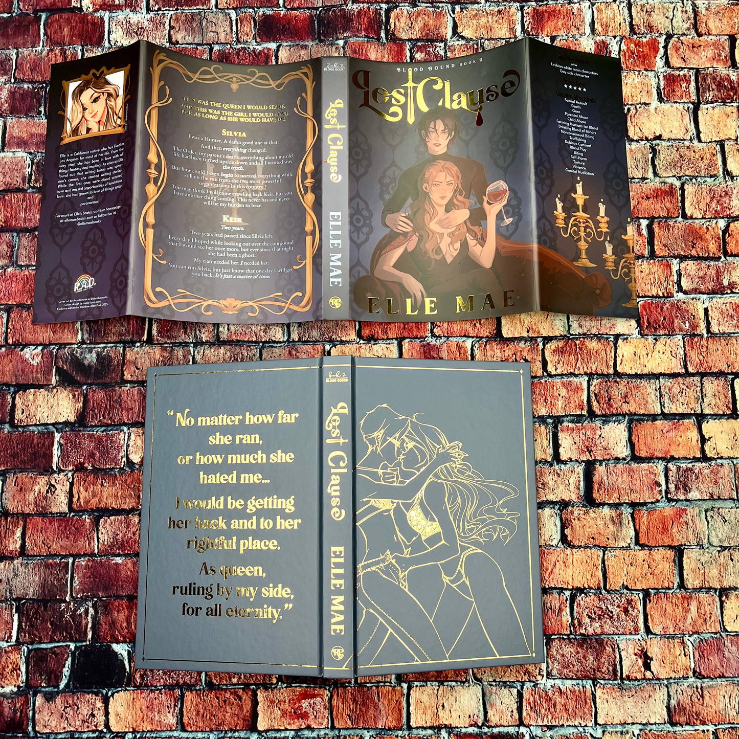 Contract Bound & Lost Clause by Elle Mae