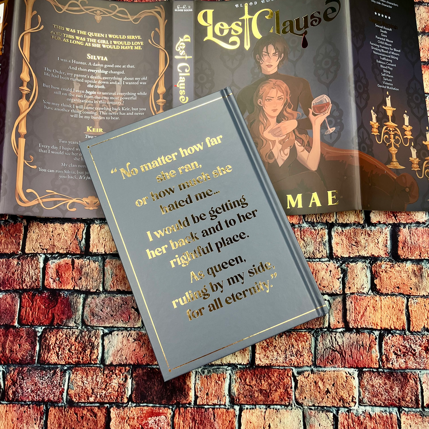 Contract Bound & Lost Clause by Elle Mae