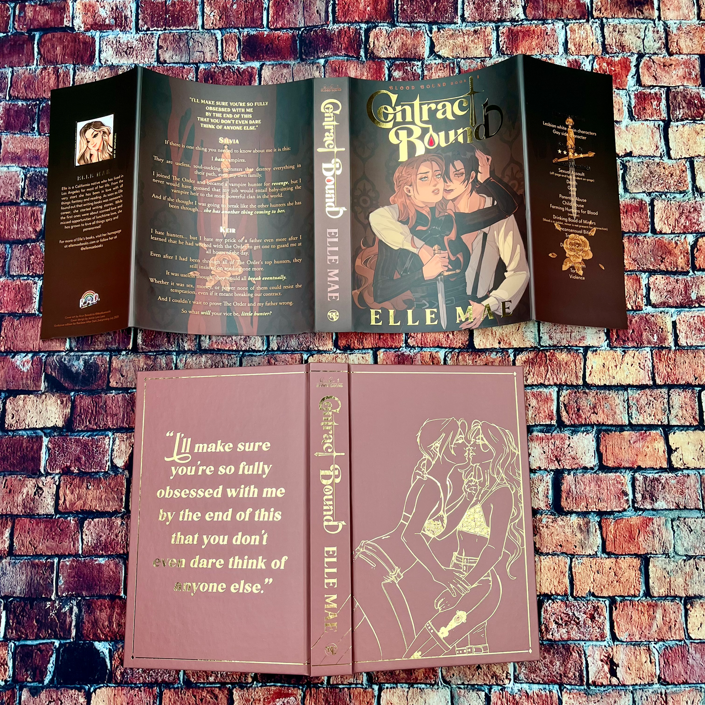 Contract Bound & Lost Clause by Elle Mae