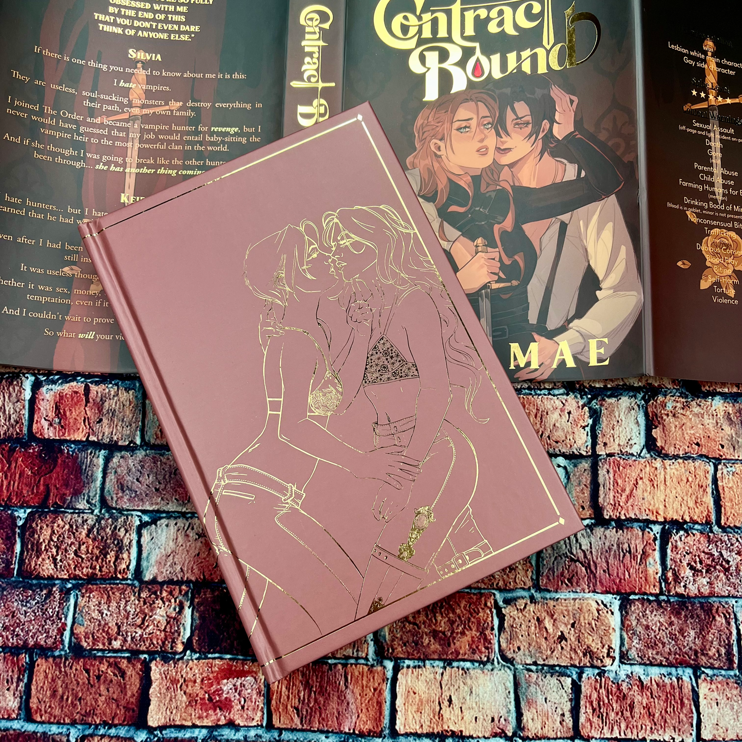 Contract Bound & Lost Clause by Elle Mae