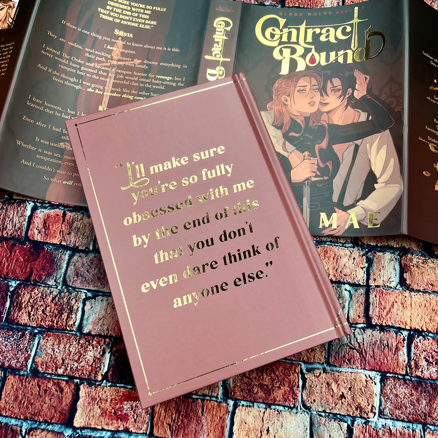 Contract Bound & Lost Clause by Elle Mae