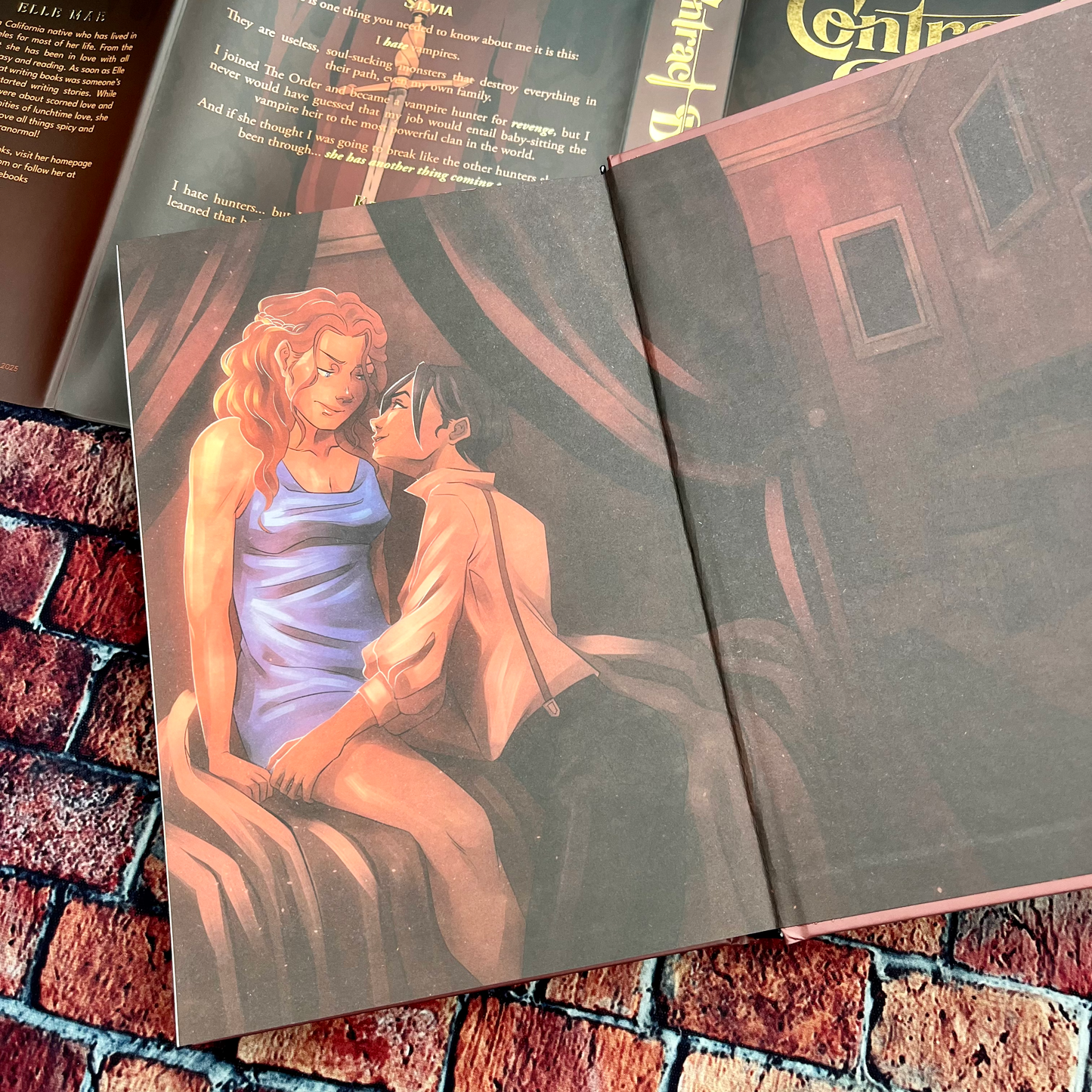 Contract Bound & Lost Clause by Elle Mae