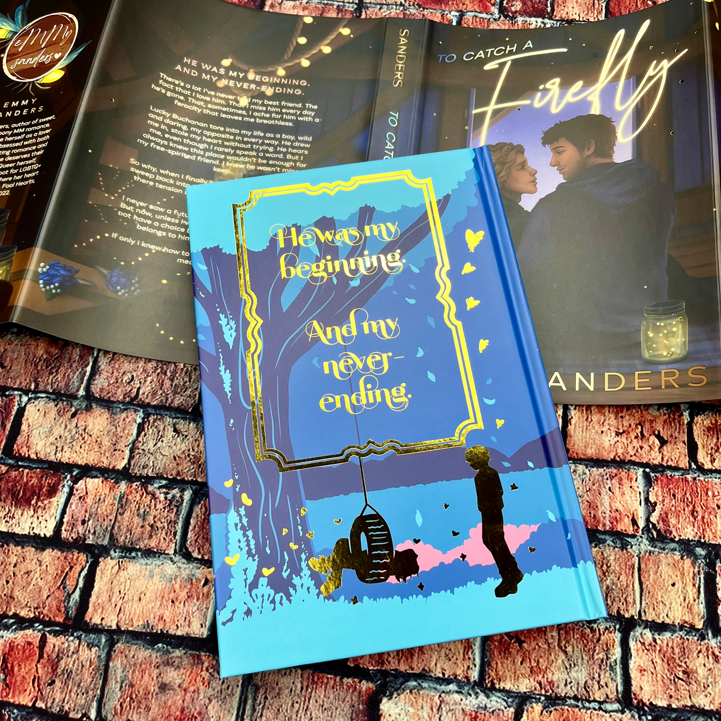 To Catch a Firefly by Emmy Sanders