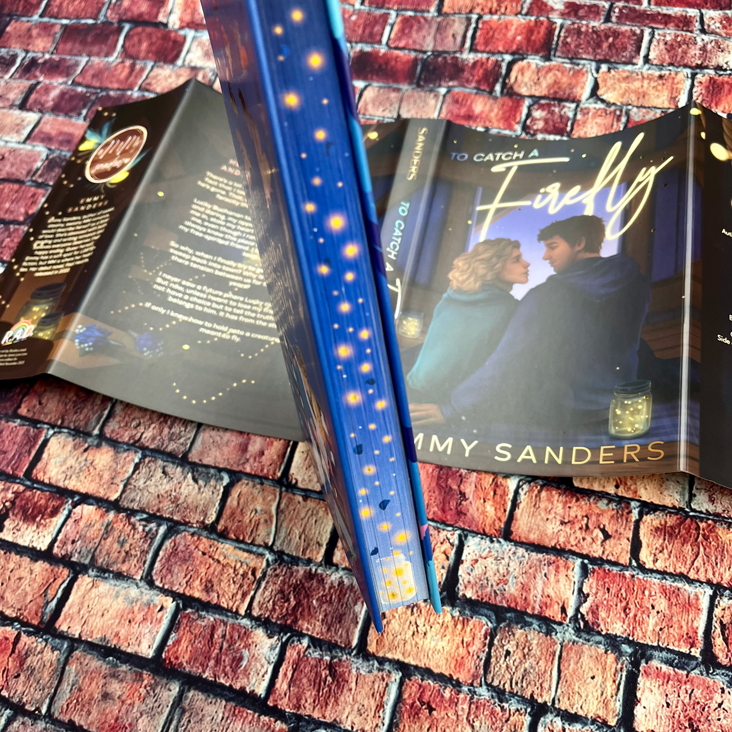 To Catch a Firefly by Emmy Sanders