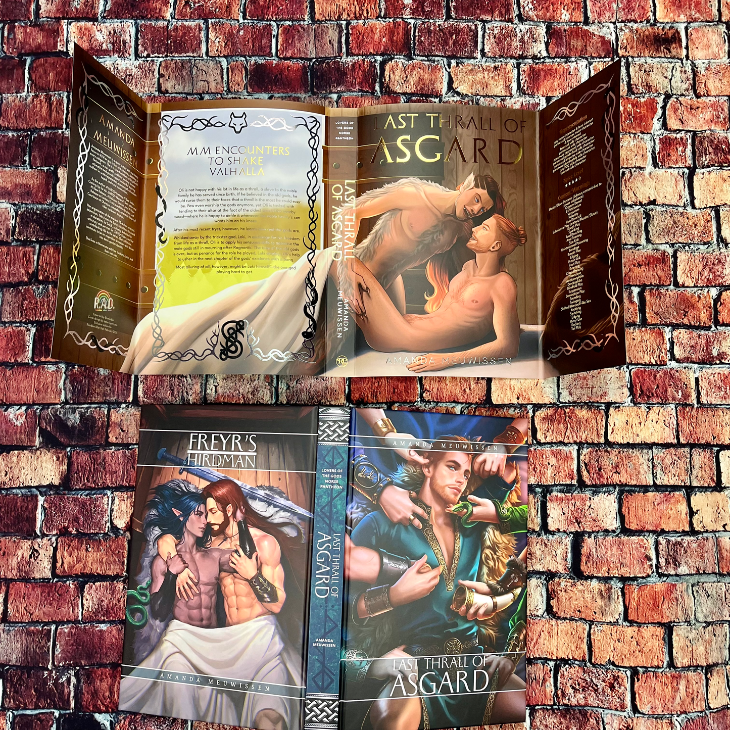 Last Thrall of Asgard by Amanda Meuwissen