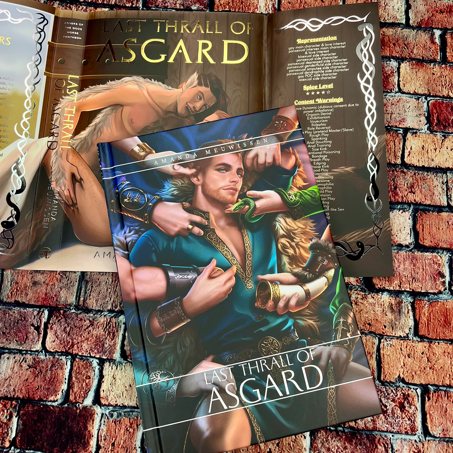 Last Thrall of Asgard by Amanda Meuwissen