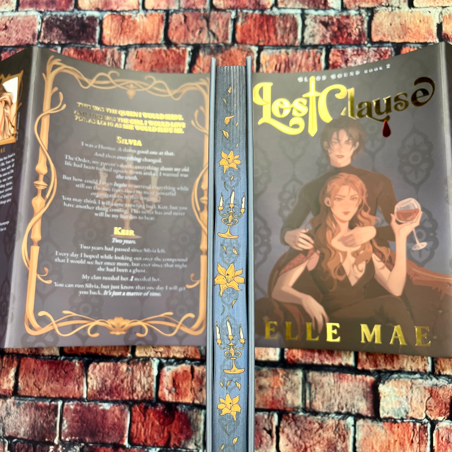 Lost Clause by Elle Mae