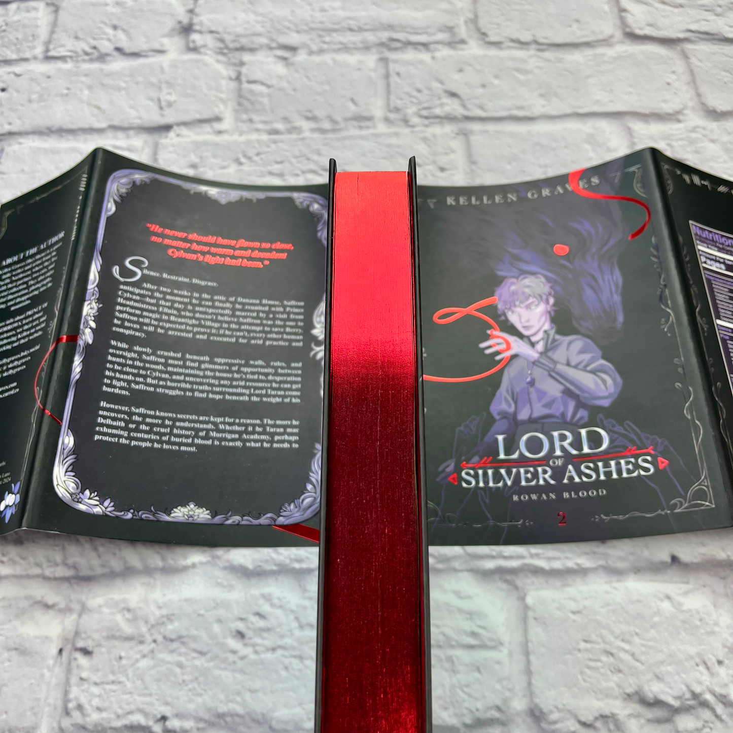 Lord of Silver Ashes by Kellen Graves