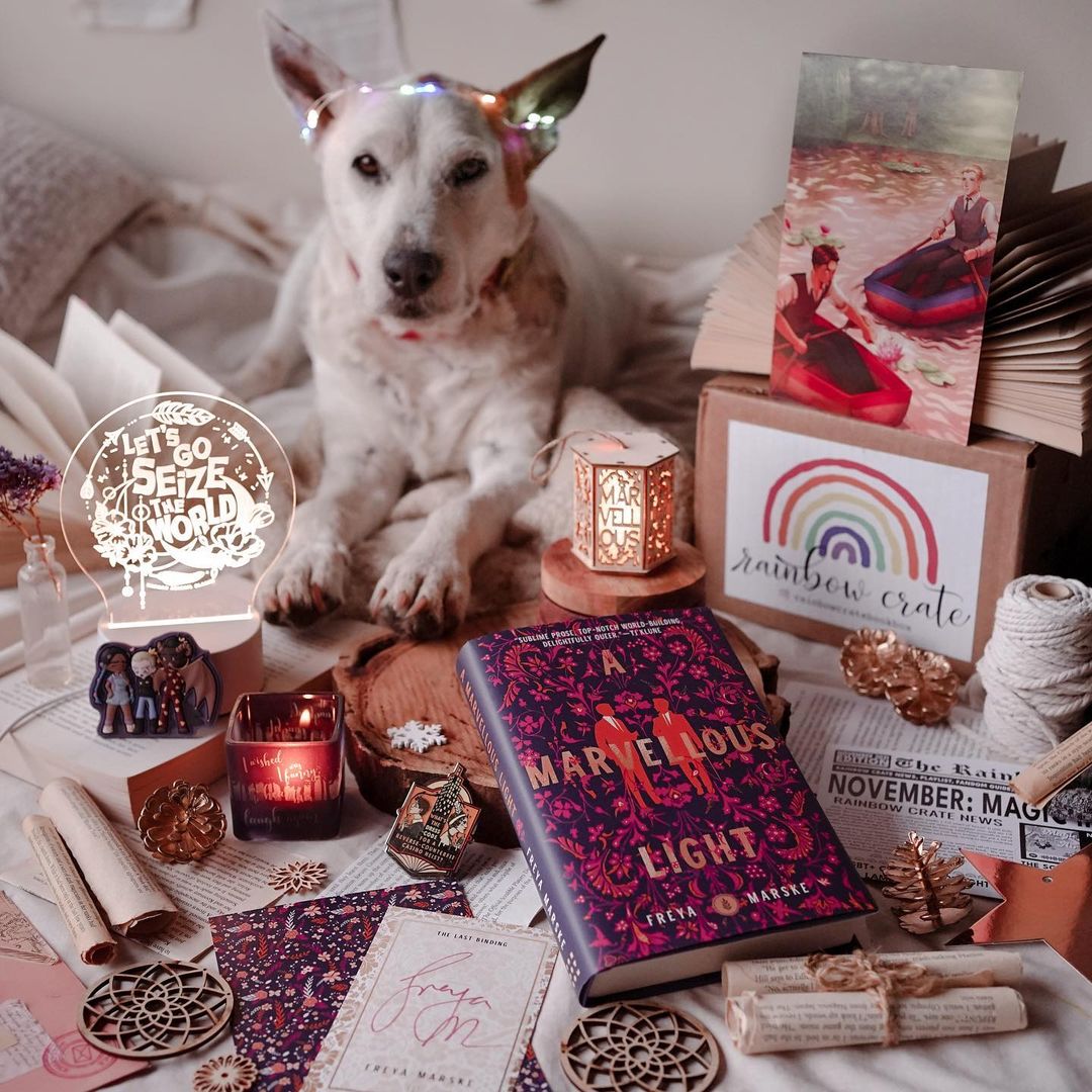 November 2021 unboxing (with a dog)
